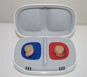 Kit Insio C&G 1AX 2 Units Hearing Aids