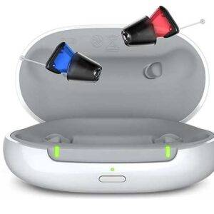 Signia Silk Charge & Go CROS 1IX